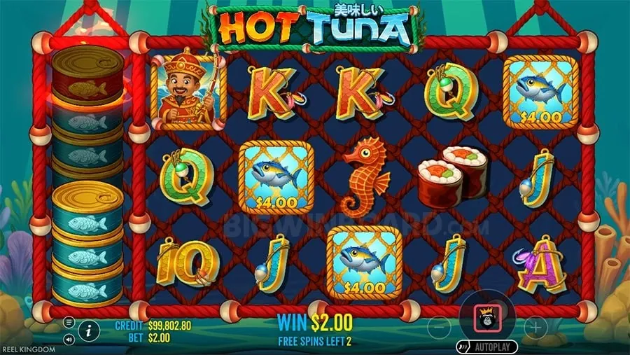 slotvip live betting interface