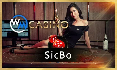 slotvip Bingo FAQ